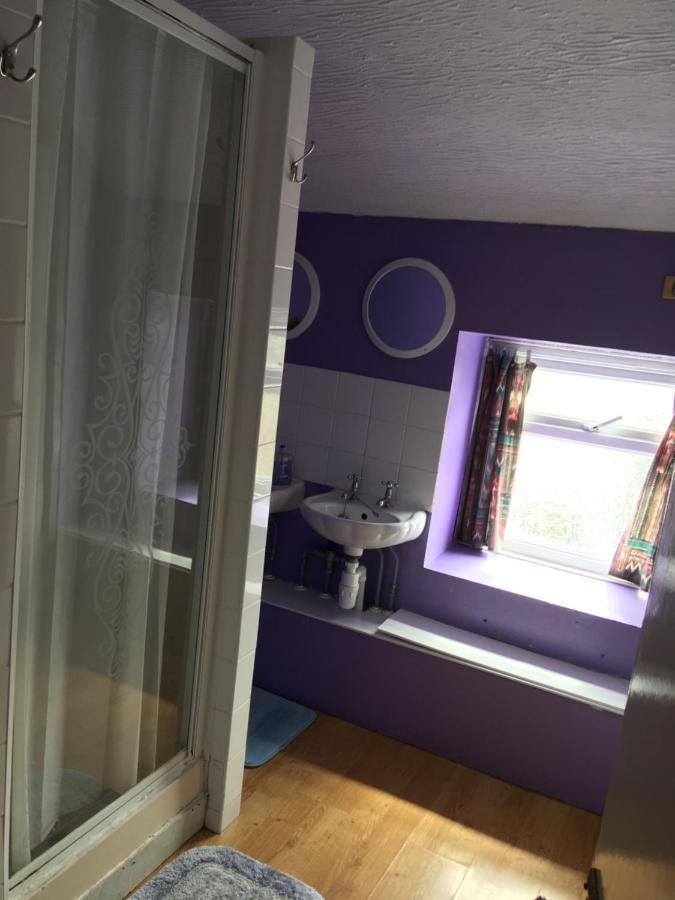 Pantyrathro International Hostel Carmarthen Ngoại thất bức ảnh